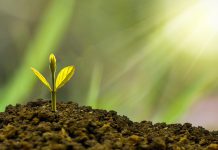 להשקיע באפיק הנכון