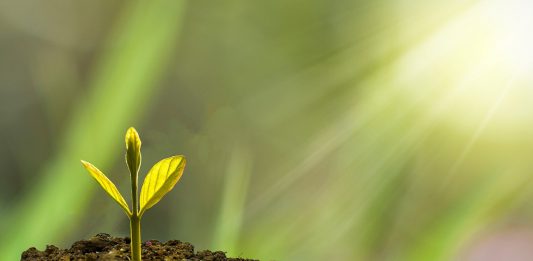 להשקיע באפיק הנכון